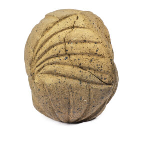 Contenedor Decorativo de Cerámica con Textura Orgánica – Pieza Artesanal con Tapa